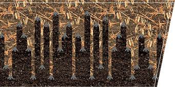 AZ ÁLLVÁNYOK EREDETI ELHELYEZÉSE